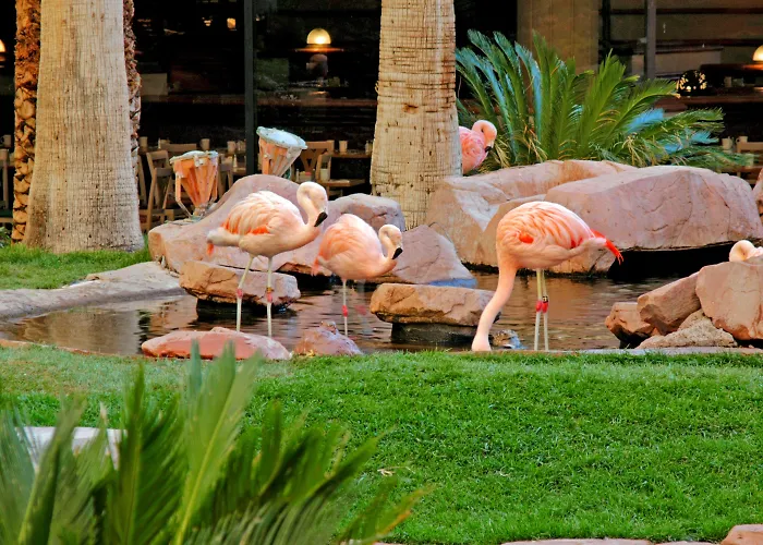 Romantic Hotels in Las Vegas